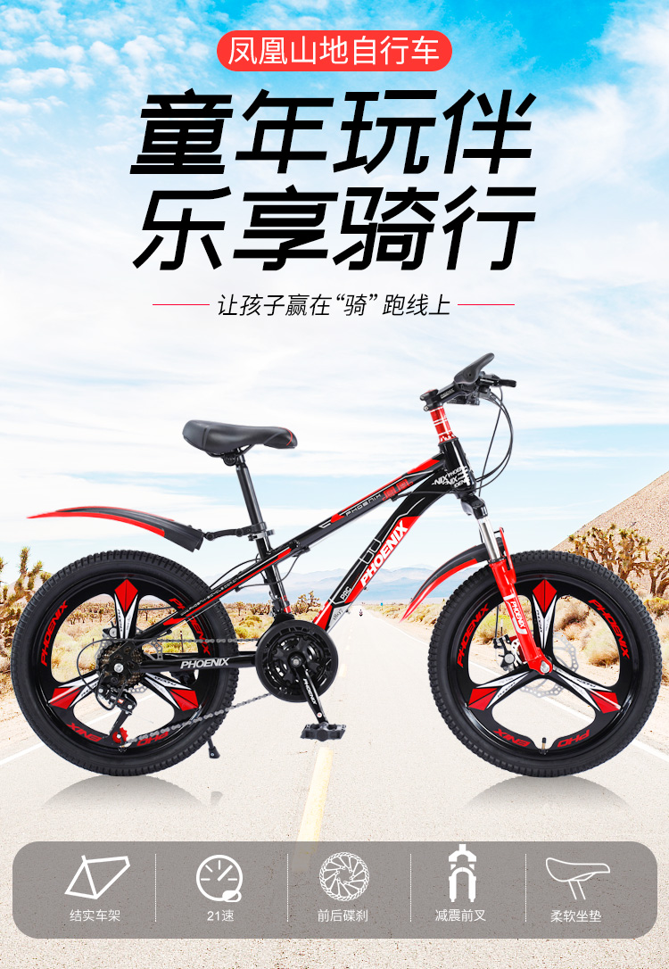 Xe đạp nội địa Trung