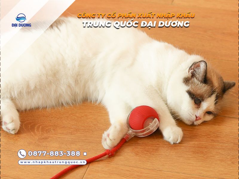 Đồ chơi cho mèo vô cùng độc lạ chỉ ở Trung Quốc mới có
