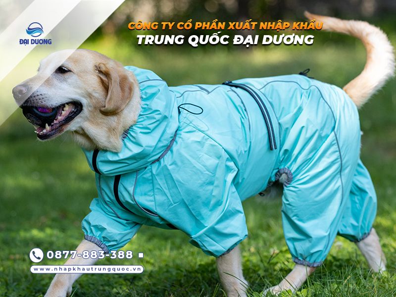 Đồ mùa đông chó mèo Trung Quốc