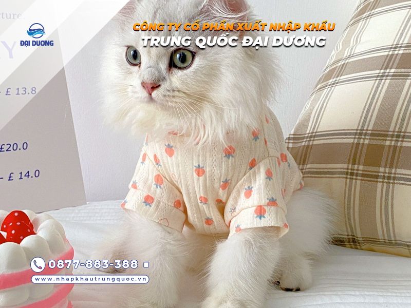 Đồ mùa hè chó mèo