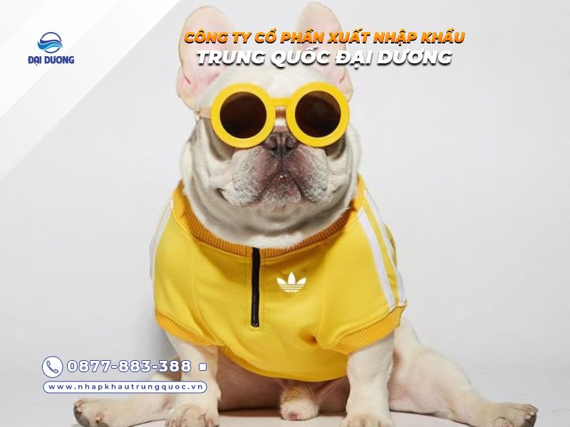 Kinh nghiệm nhập quần áo chó mèo từ Trung Quốc hiệu quả