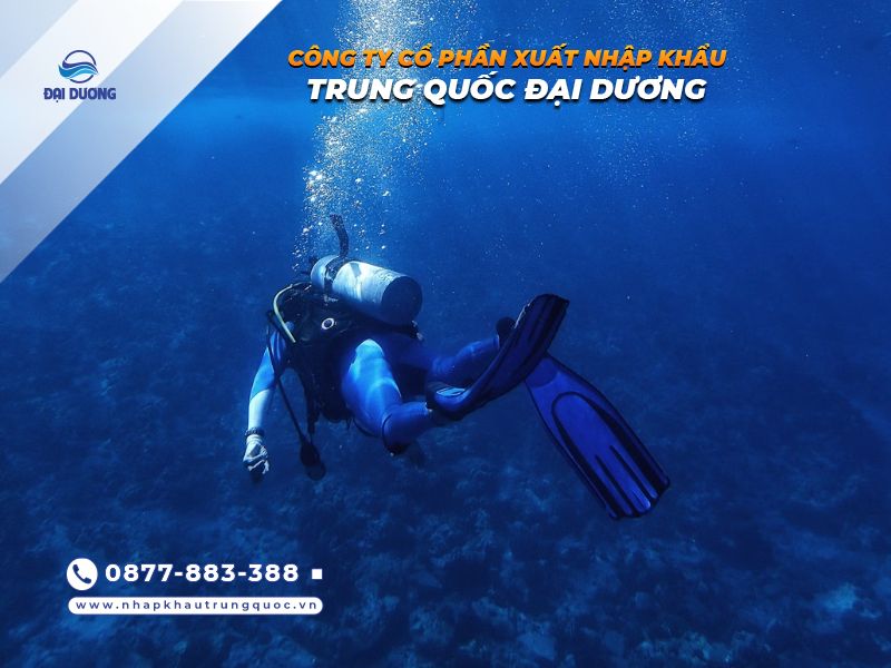 Bóng tối dưới đáy biển