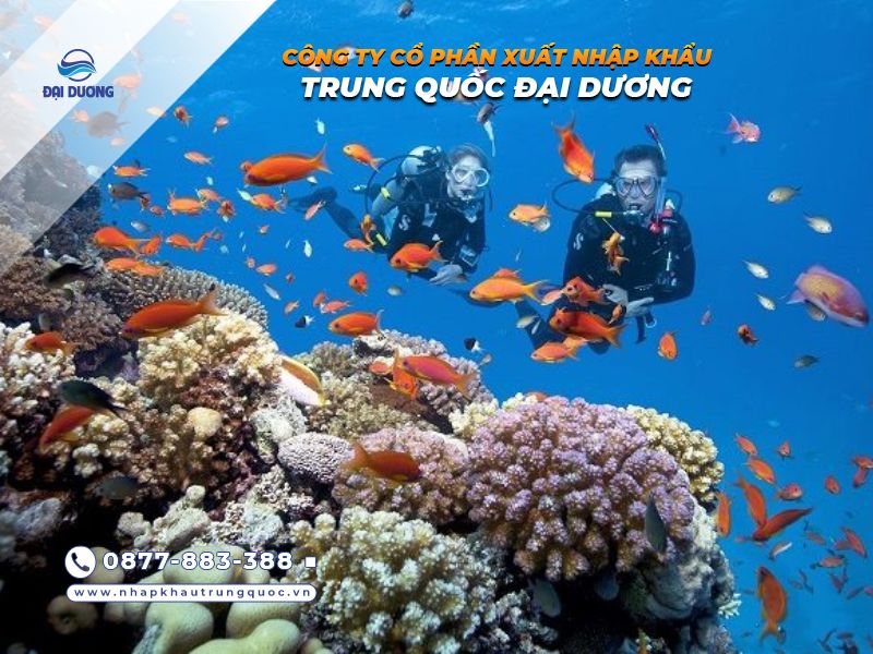 Lặn biển tại Phú Quốc