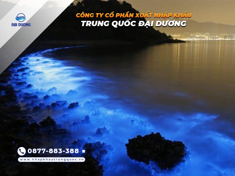 Lân tinh tại biển Cát Bà