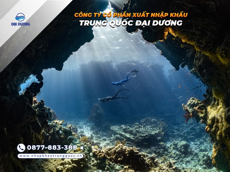 Trải nghiệm lặn biển