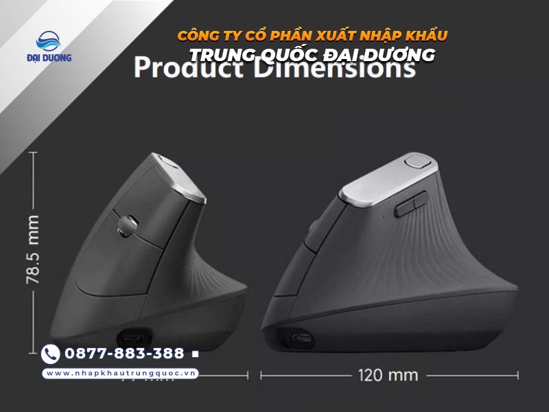 Chuột công thái học Trung Quốc