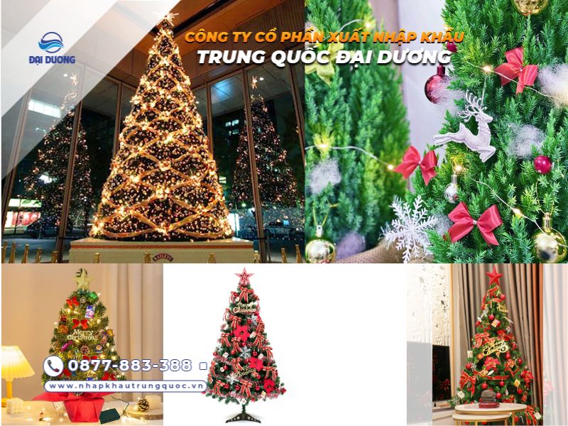 Vì sao nên nhập nguồn hàng cây thông Noel từ Trung Quốc?