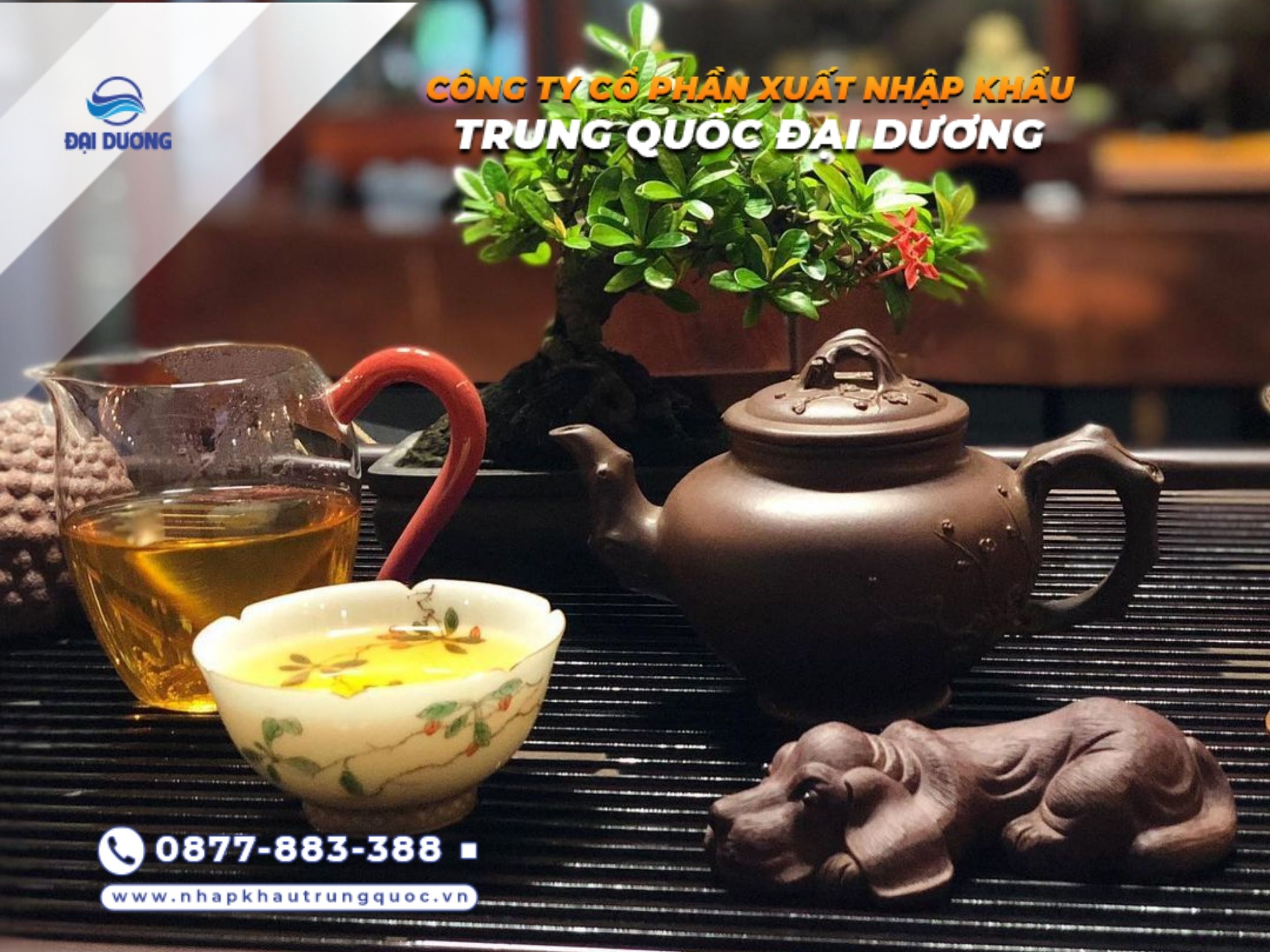 Ấm tử sa Trung Quốc đa dạng kiểu dáng