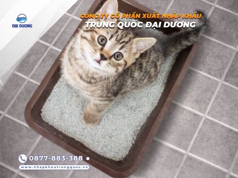 Những loại cát cho mèo từ Trung Quốc chất lượng