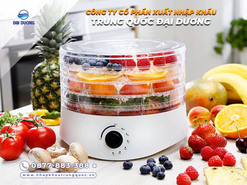 Máy sấy thực phẩm mini Trung Quốc đa dạng mẫu mã, dễ lựa chọn